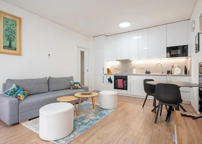 New Near The Centre Of Daire Brno