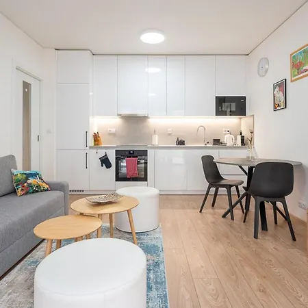 New Near The Centre Of Apartment Brno